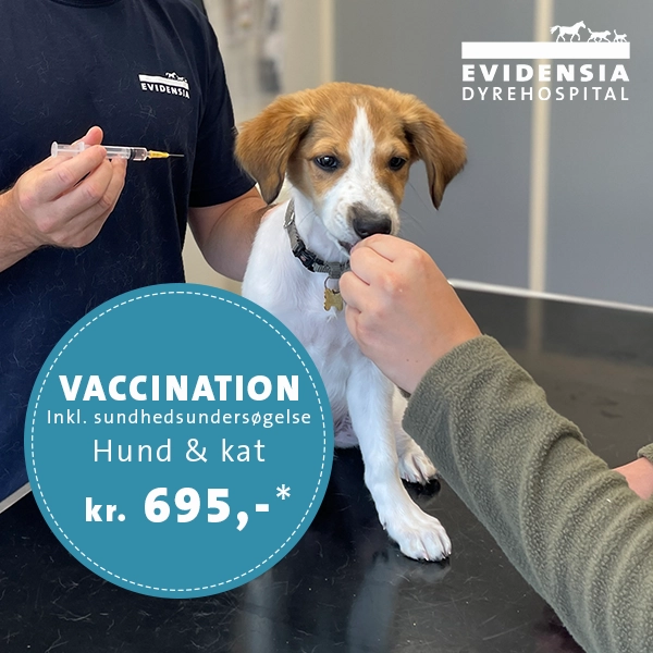 VACCINATION 695 KR
