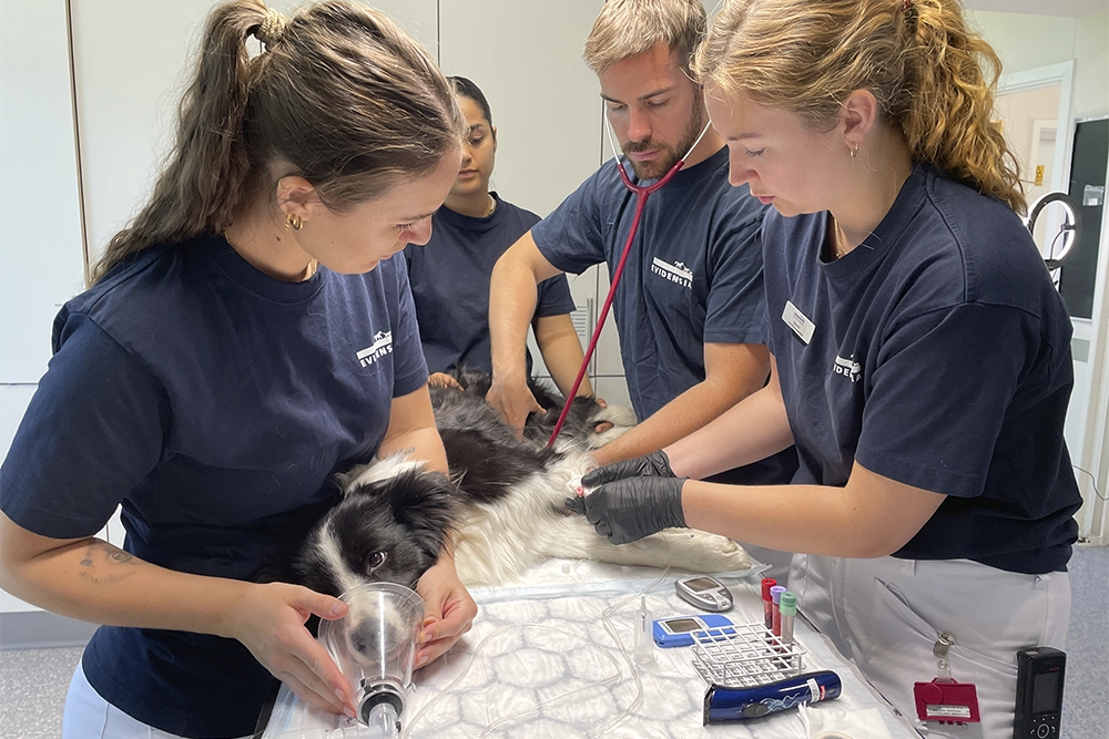 Billede af akutmodtagelse