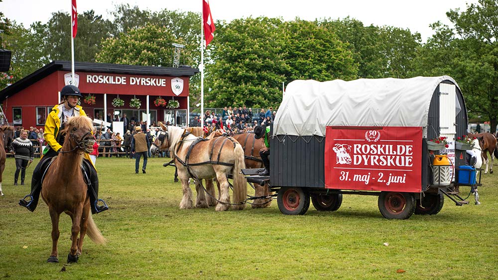 Evidensia var med til at fejre Roskilde Dyrskues 50-års jubilæum