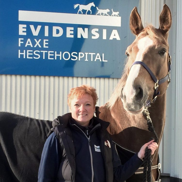 Susanne Albæk Kolding – Amerikansk diplomatgrad indenfor hestens sportsmedicin og rehabilitering