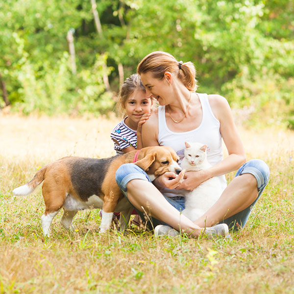 Sommertips til hund og kat