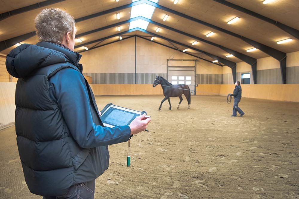 Halthed hos hest – Diagnosticering og behandling