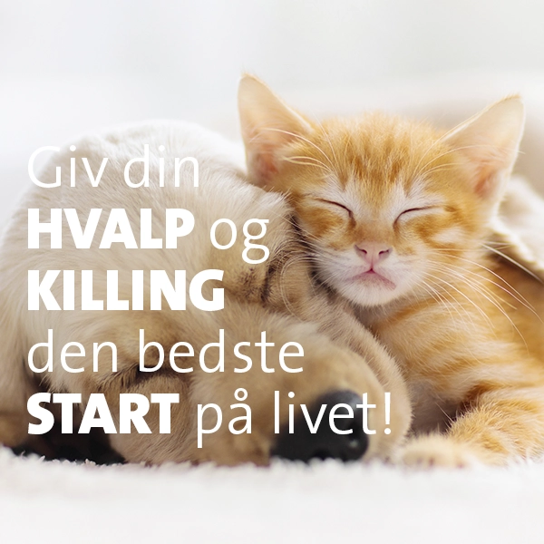 Hvalp og killing pakker