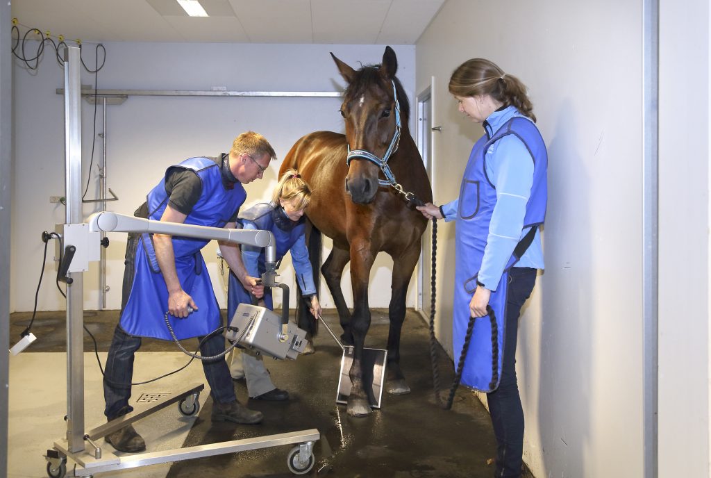 Evidensia Kolding Hestehospital
