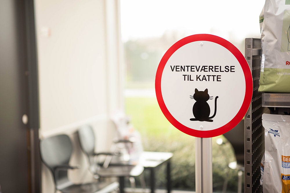 Venteværelse til katte cat friendly clinic