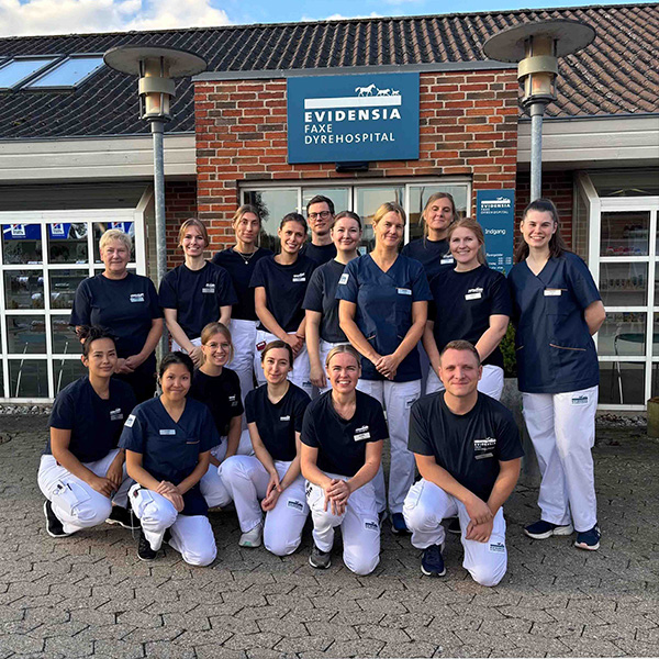 Evidensia Faxe Dyrehospital