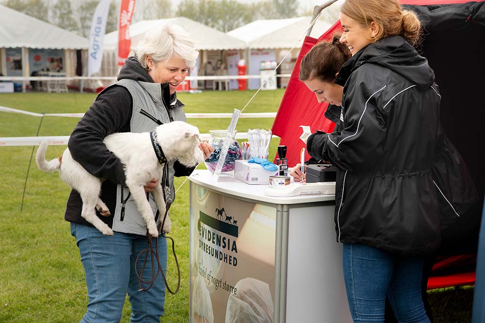 DKK hundeudstilling i Roskilde