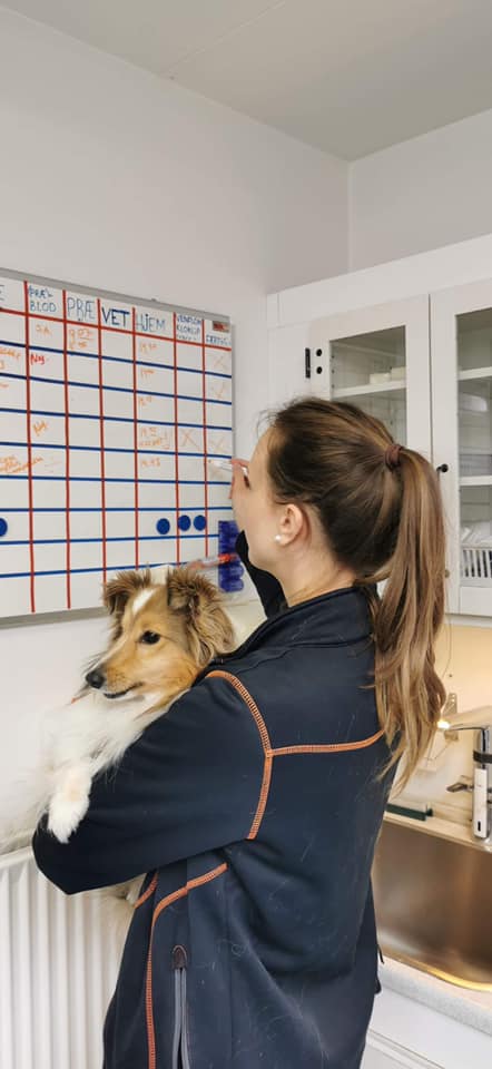 Evidensia Dahlgaard Dyreklinik