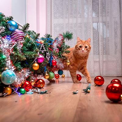 Kat væltet juletræ